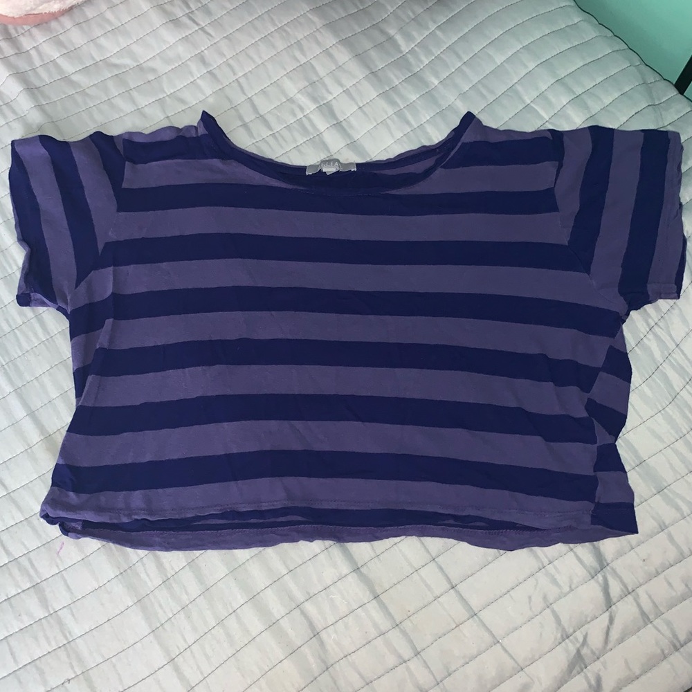 Delia’s Purple Crop top